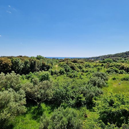 Villa Mareonda โรวีน ภายนอก รูปภาพ