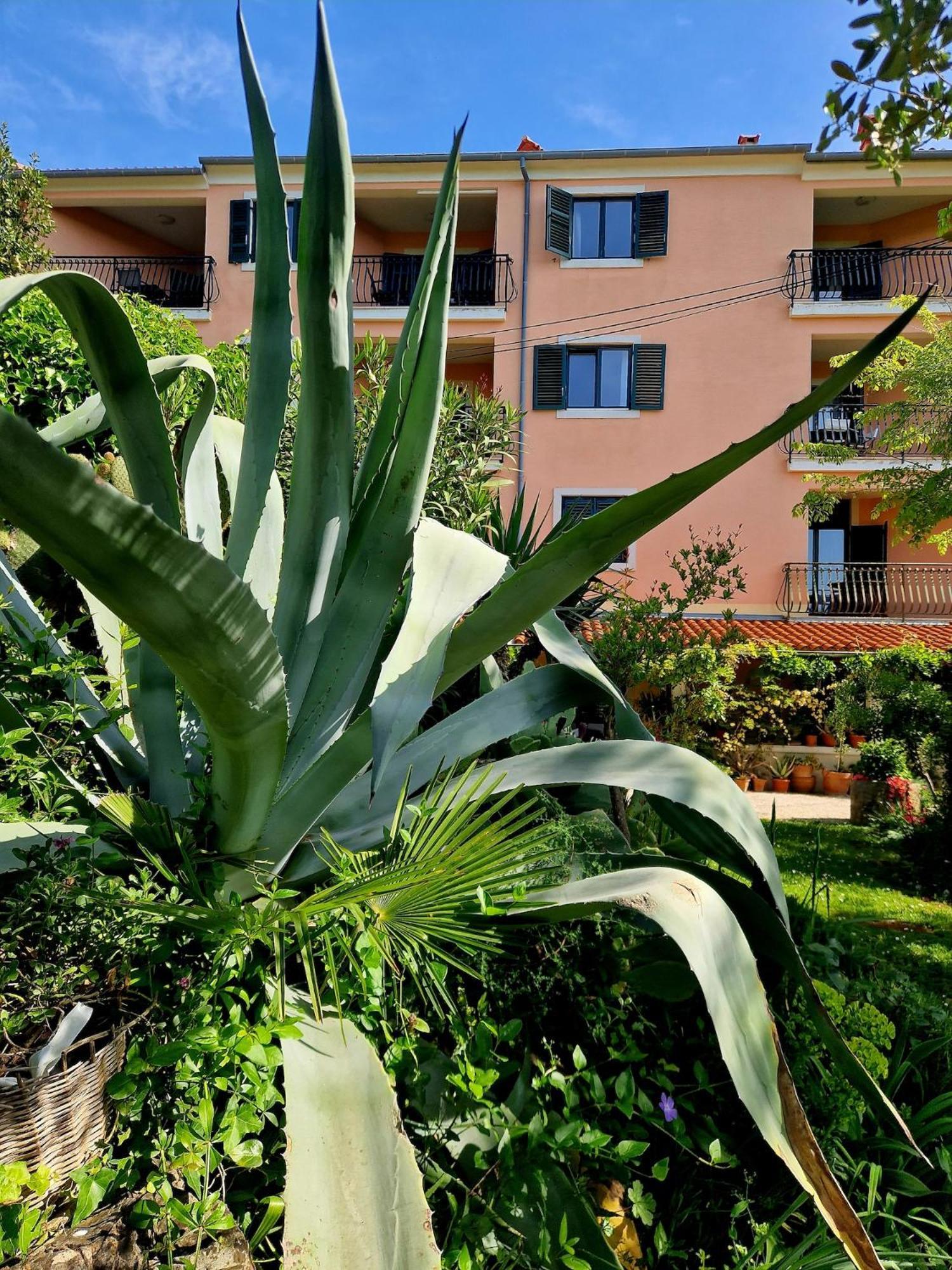 Villa Mareonda โรวีน ภายนอก รูปภาพ