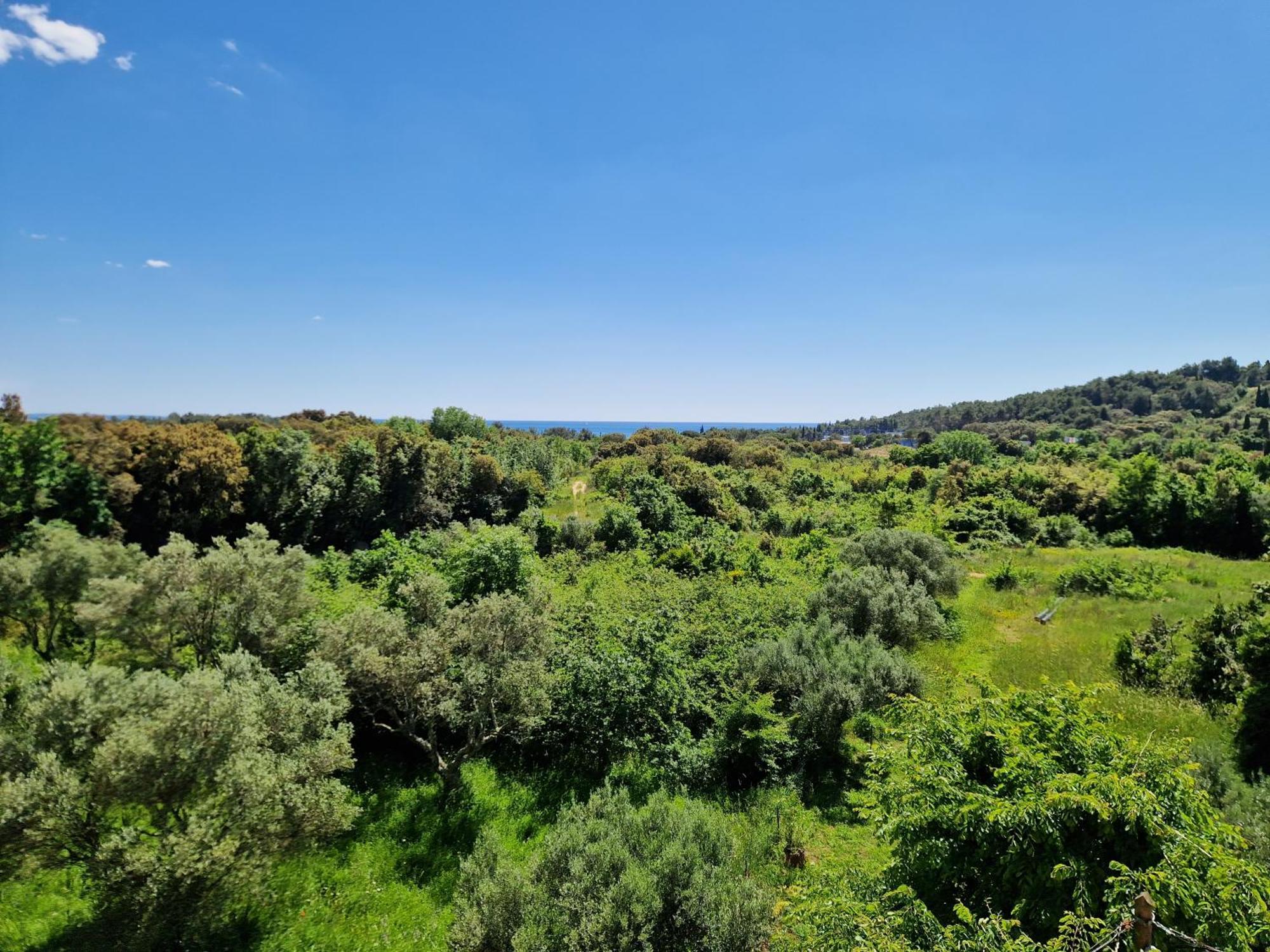 Villa Mareonda โรวีน ภายนอก รูปภาพ